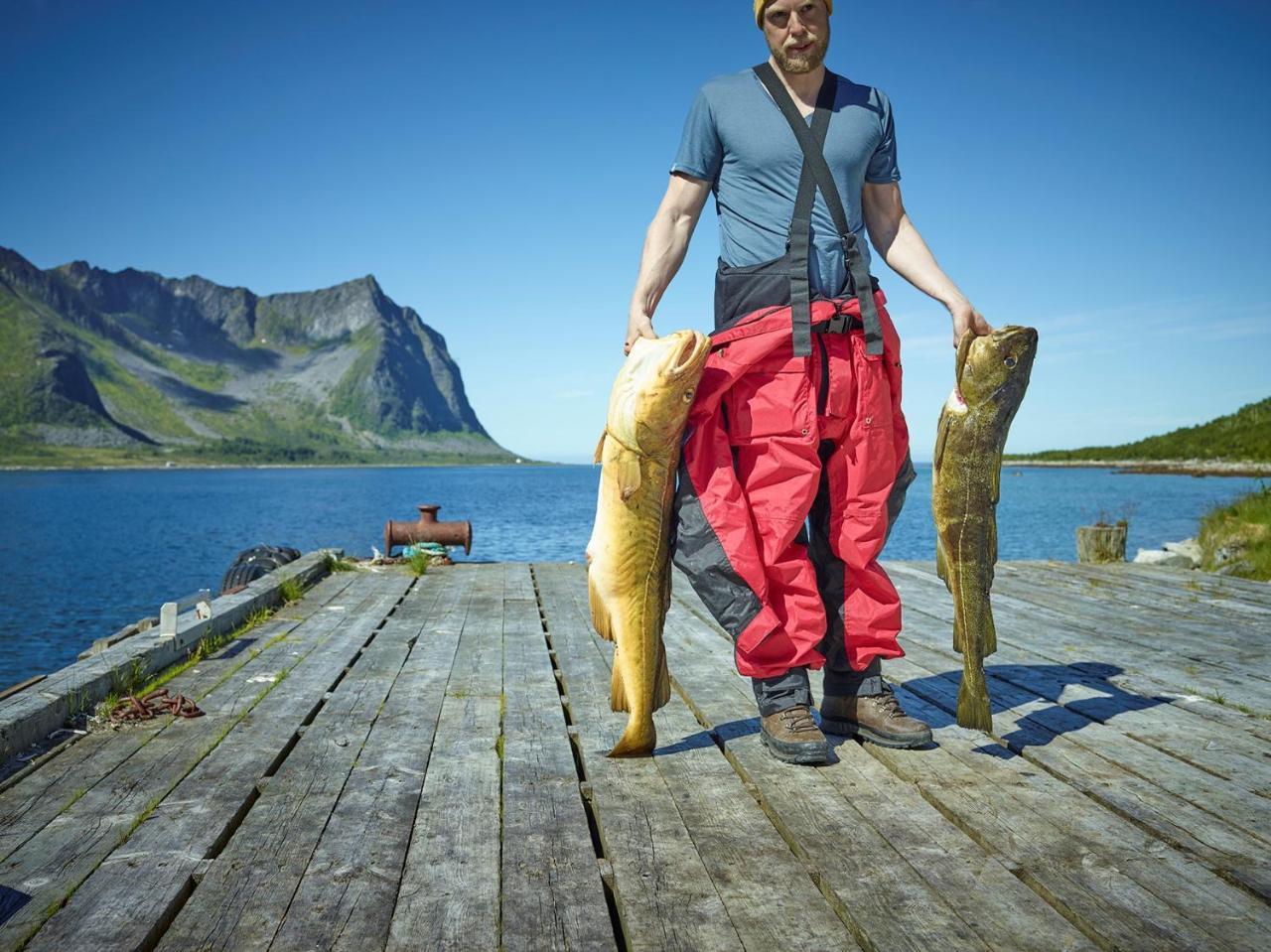 Northern Light Hotell/Camp Steinfjord Berg  المظهر الخارجي الصورة