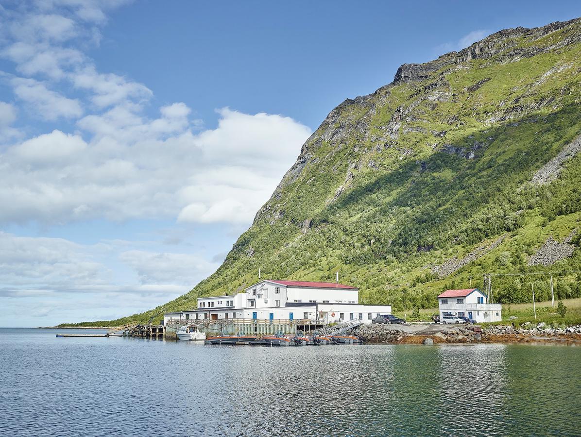 Northern Light Hotell/Camp Steinfjord Berg  المظهر الخارجي الصورة