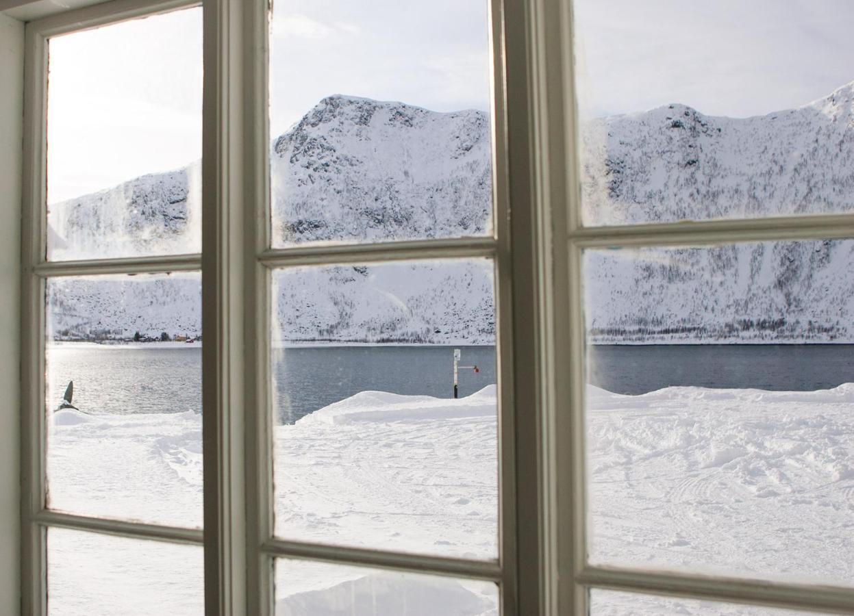 Northern Light Hotell/Camp Steinfjord Berg  المظهر الخارجي الصورة